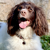 Gwynne | Doylestown Health